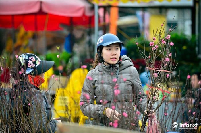 Đào Nhật Tân khoe sắc xuống phố đón Tết sớm - 11