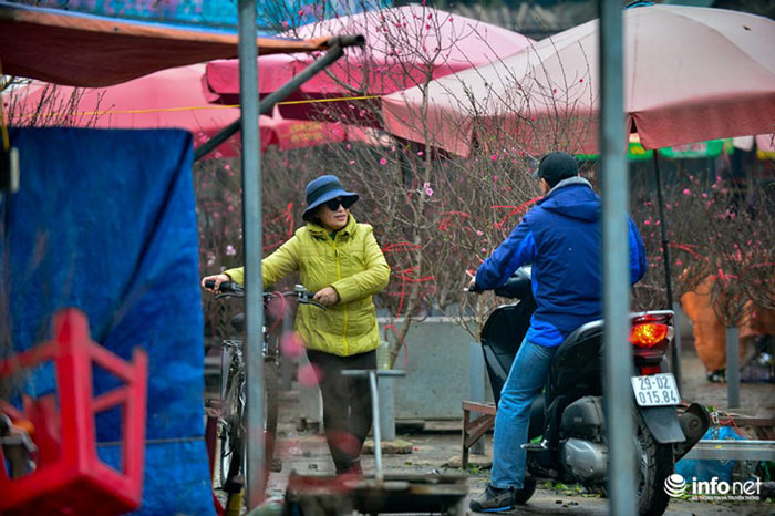 Đào Nhật Tân khoe sắc xuống phố đón Tết sớm - 13