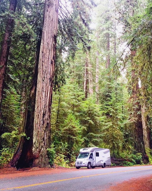 Kiếm 100.000 USD một tháng nhờ viết blog và du lịch toàn thời gian - 3