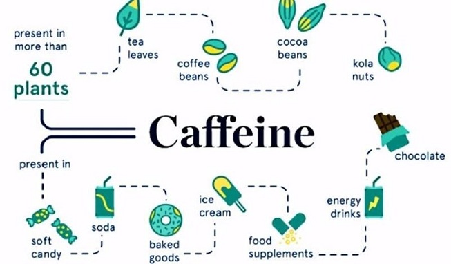 Caffeine ảnh hưởng đến cơ thể chúng ta thế nào? - 1