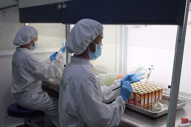 Lần đầu tiên sữa trẻ em Việt 'tấn công' 300 siêu thị Mỹ - 1