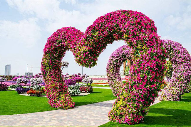 Với hơn 45 triệu loại hoa đang lung linh khoe sắc, khu vườn Dubai Miracle đã thực sự xứng đáng với danh hiệu khu vườn lớn nhất thế giới.