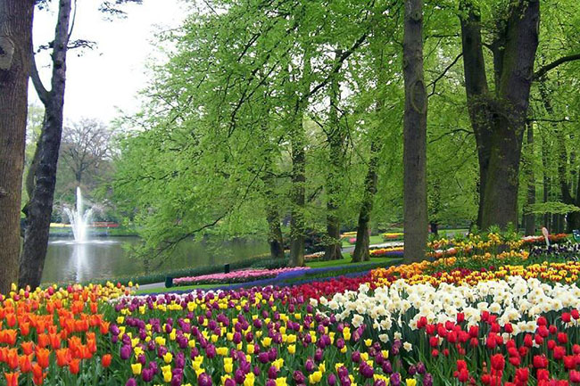 Được biết đến là Vườn hoa của Châu Âu, Keukenhof đã được Jan David Zocher và con trai Louis Paul đã thiết kế lại công viên vào năm 1857, tạo ra nền tảng cho phong cách sân vườn Anh ngày nay.