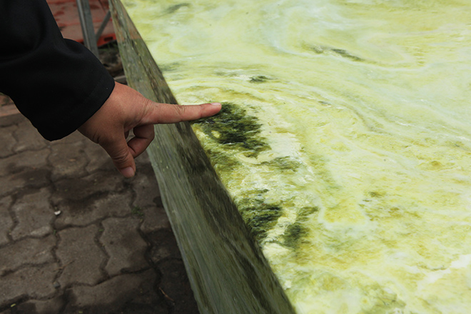 Tấm phản đá xanh ngọc nguyên khối nặng 14 tấn xuất hiện ở Hà Nội - 11