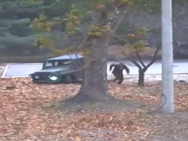 Lính Triều Tiên thú nhận giết người trước khi đào tẩu - 1