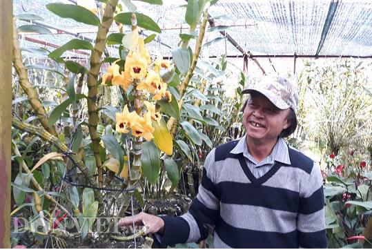 Vườn lan đẹp ngây ngất, "đốn tim" người xem giữa thành phố Đà Lạt - 3