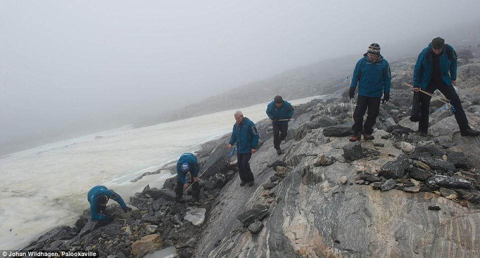 Băng tan để lộ 2.000 vật quý trên dãy núi cao nhất Na Uy - 1