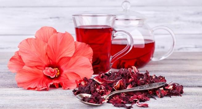 Lợi ích sức khỏe và làm đẹp tóc của hoa dâm bụt - 2