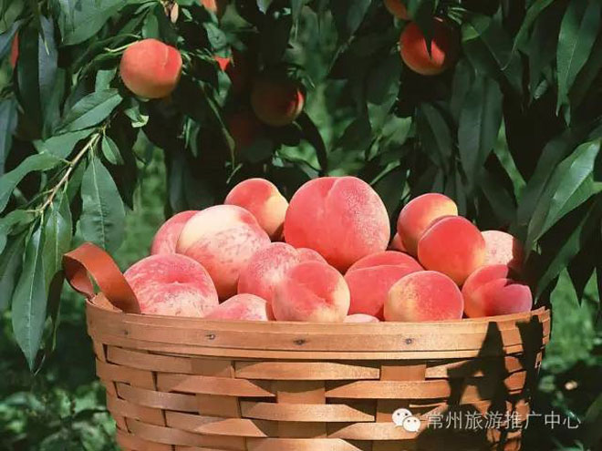 10 đặc sản Thường Châu nhất định phải thử khi tới tiếp lửa cho U23 Việt Nam - 10