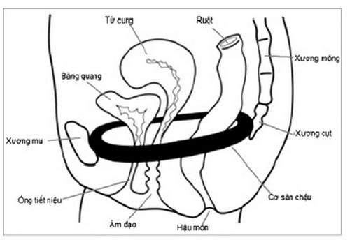 Bài tập tốt cho &#34;chuyện ấy&#34; ở cả nam và nữ - 1