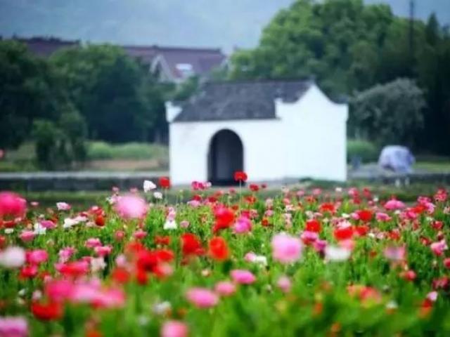 Du lịch - Ghé thăm những chốn "thiên đường hạ giới" xung quanh Thường Châu