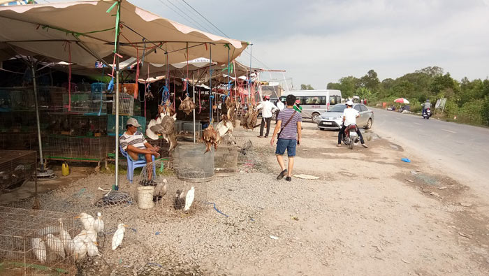 Cận Tết, dân Sài Thành đổ về chợ chim trời mua đặc sản ăn tất niên - 1
