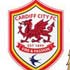 Chi tiết Cardiff City - Man City: Thắng lợi xứng đáng (KT) - 1