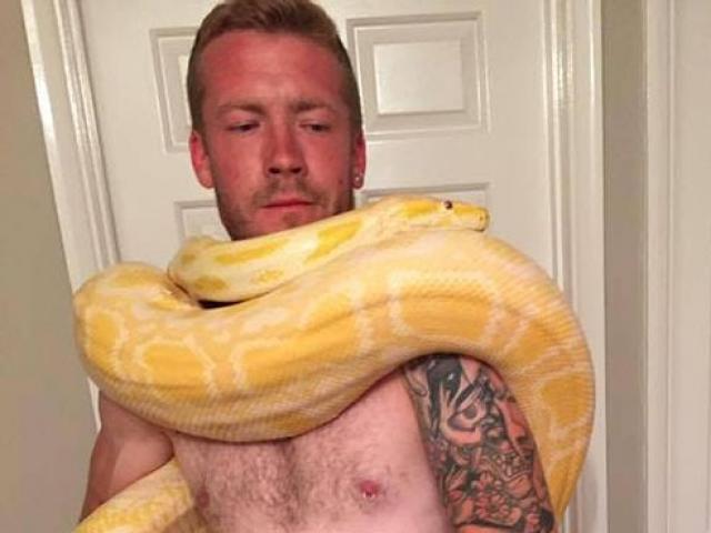 Thế giới - Trăn cưng khổng lồ giết chủ nhân ở Anh như thế nào?