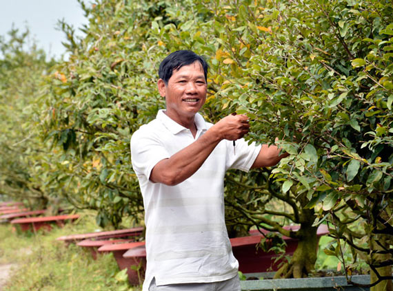 Tuyệt chiêu chăm mai bán Tết, thu hàng trăm triệu đồng/năm - 1