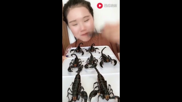 Cô gái xinh đẹp nhai bọ cạp, gián, sâu ngon lành đến kinh dị - 2