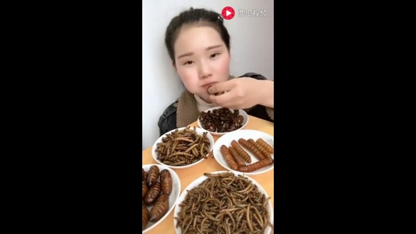 Cô gái xinh đẹp nhai bọ cạp, gián, sâu ngon lành đến kinh dị - 1