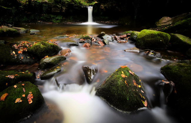 Khung cảnh mùa thu quanh một thác nước trong vườn quốc Brecon Beacons ở Xứ Wales.