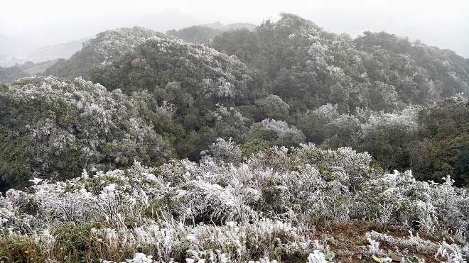 Nóng 24h qua: Sợ hết hồn vì thấy "quái vật" bò ngang đường - 4