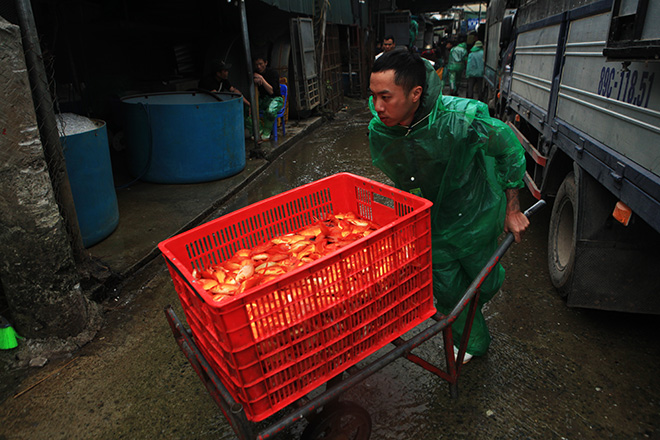 Hàng triệu "phương tiện" đổ về chợ cá lớn nhất Hà Nội trước ngày ông Công ông Táo - 4