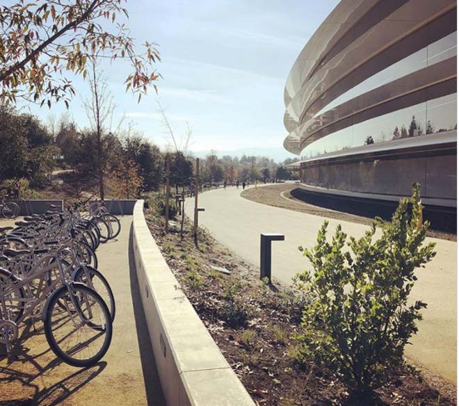 Những hình ảnh hoành tráng đầu tiên về Apple Park - 8