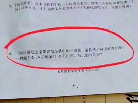 Bài toán lạ lùng của học sinh lớp 5 gây tranh cãi tại Trung Quốc - 1