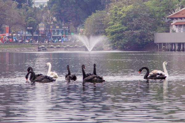 Nóng 24h qua: Vào rừng gặp gấu dữ, người đàn ông giả chết bất thành - 2
