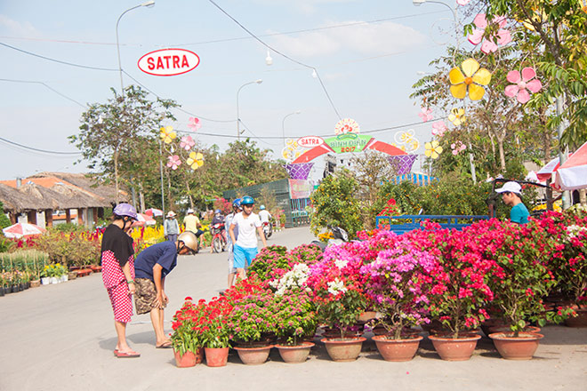 Chợ hoa xuân Bình Điền - Thêm sắc xuân cho khu nam - 6