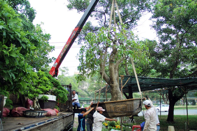Cặp “rồng chầu” nặng chục tấn vận chuyển bằng xe đầu kéo từ miền Tây lên SG - 12