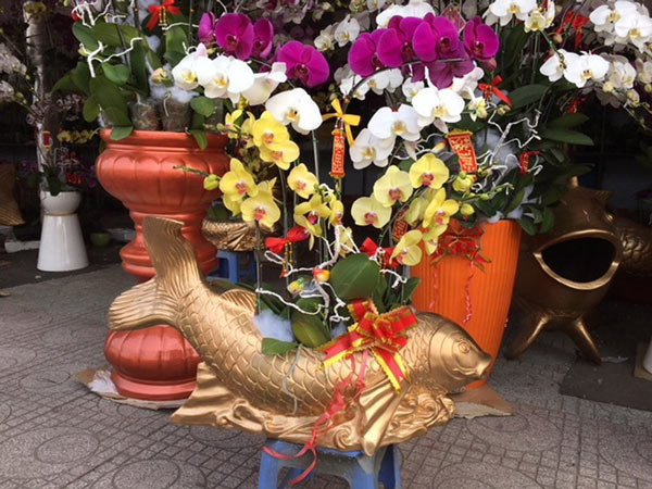 Cá chép mạ vàng &#39;cõng&#39; hoa lan đắt khách ngày ông Táo - 1