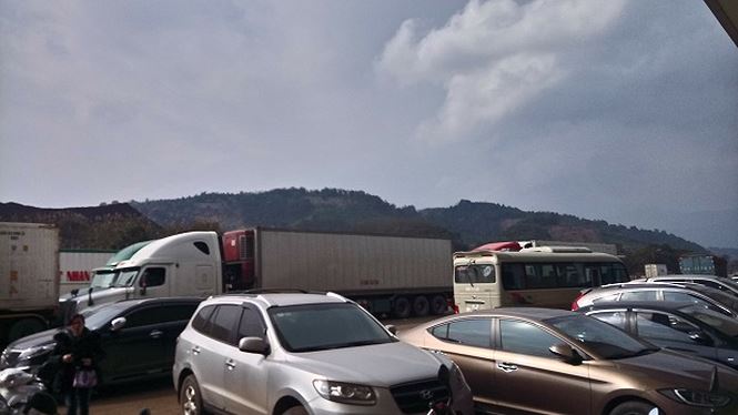 Cận Tết, thanh long Việt ùn ùn xuất ngoại - 3