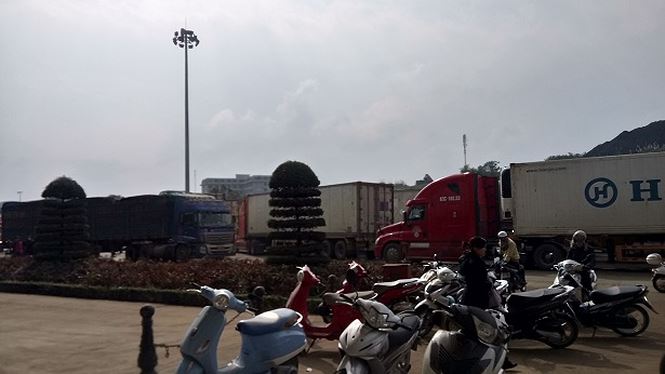 Cận Tết, thanh long Việt ùn ùn xuất ngoại - 4