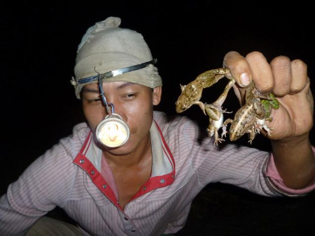 Thị trường - Tiêu dùng - Giáp Tết, "vũ nữ chân dài"... lên ngôi!