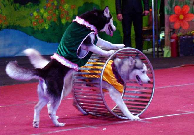 Đến Đầm Sen trải nghiệm công nghệ tương tác ảo AR – QR lần đầu tiên tại Việt Nam - 5