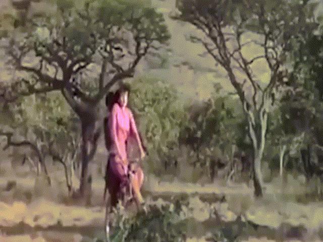 Phim - "Thượng đế cũng phải cười" với những cảnh phim này