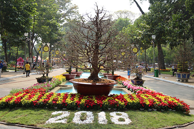 Trước khi dạo Hội hoa Xuân TP.HCM, phải biết những điều này - 4