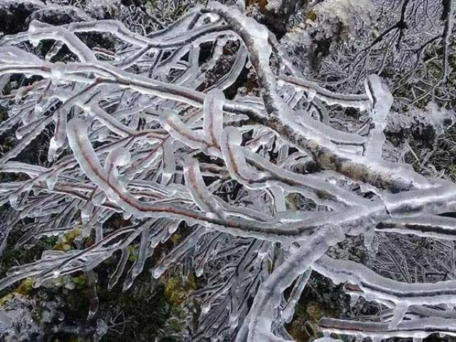 Tin tức trong ngày - Miền Bắc tiếp tục rét đậm, vùng núi khả năng xuất hiện băng giá