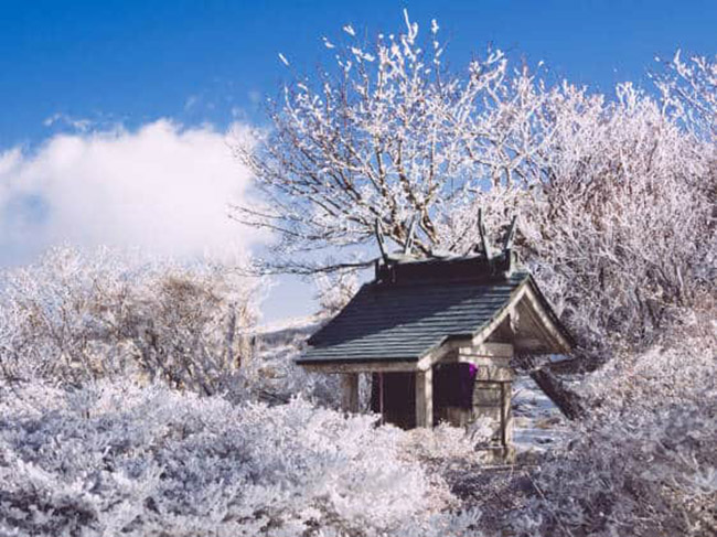 Mùa đông ở Ōita cũng mang vẻ đẹp đầy thơ mộng.