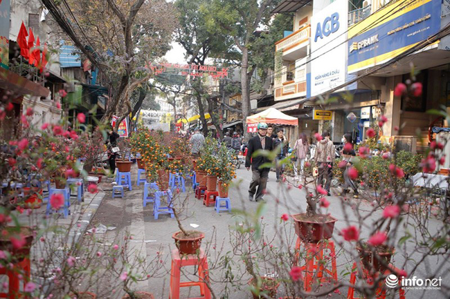 Trong những ngày này, nhiều người tới đây không chỉ mua hoa, cây cảnh về chơi Tết, mà còn tìm lại hương vị Tết xưa của chợ hoa chỉ họp duy nhất một lần mỗi năm.
