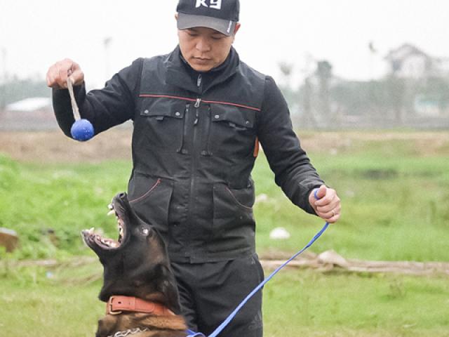 Tin tức trong ngày - Nên duyên vợ chồng nhờ… quý khuyển