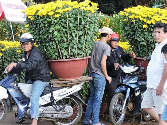 Tài chính - Bất động sản - Sát Tết, nghề vận chuyển hoa kiểng lên ngôi