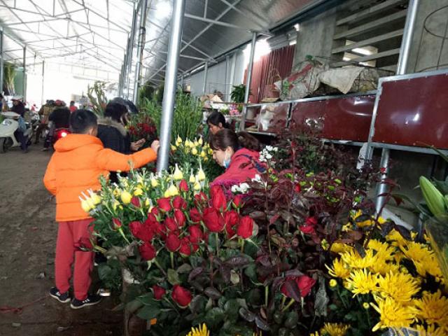 Thị trường - Tiêu dùng - Bất ngờ: Hoa hồng thờ Tết đắt gấp 10 lần mà vẫn cháy hàng