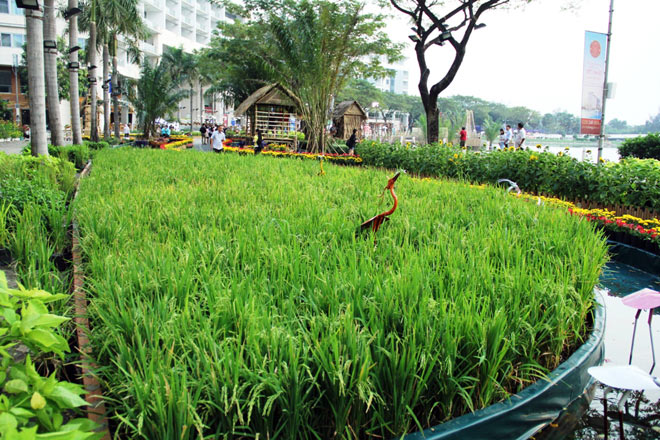 Những điểm “check in” 1 năm chỉ có một lần ở SG, nhất định phải đến trong dịp Tết - 6