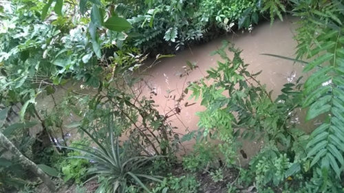 Kết cục bi ai trong “đại chiến” mẹ chồng – nàng dâu - 2