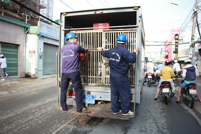 Biệt đội &#34;săn&#34; chó thả rông ở Sài thành - 1