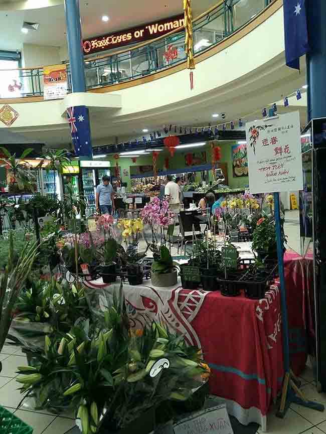 Du học sinh Việt rộn ràng đón Tết - 4