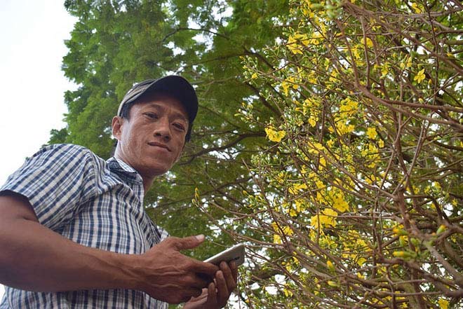 “Lão” mai khổng lồ, tỏa mùi thơm giá hơn 200 triệu - 8