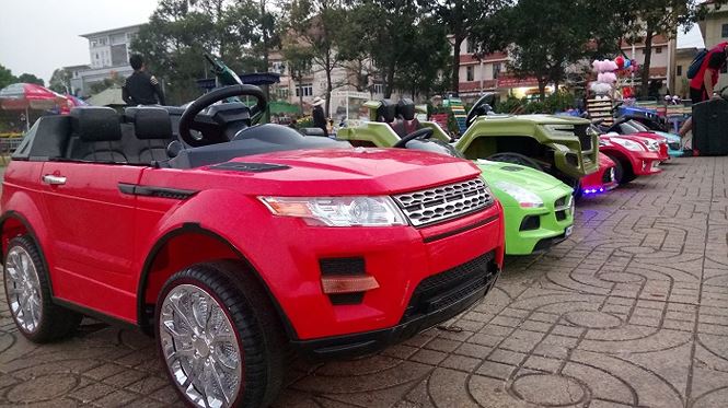 Sát Tết, nghề vận chuyển hoa kiểng lên ngôi - 6