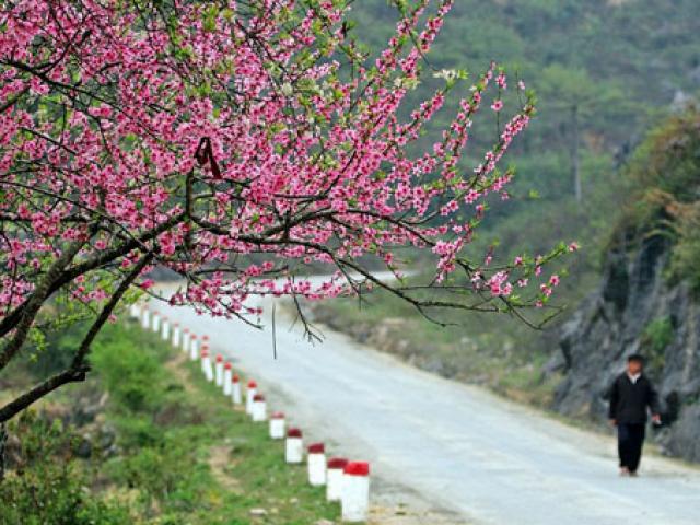 Du lịch - Rong ruổi đón xuân trên đường Tây Bắc