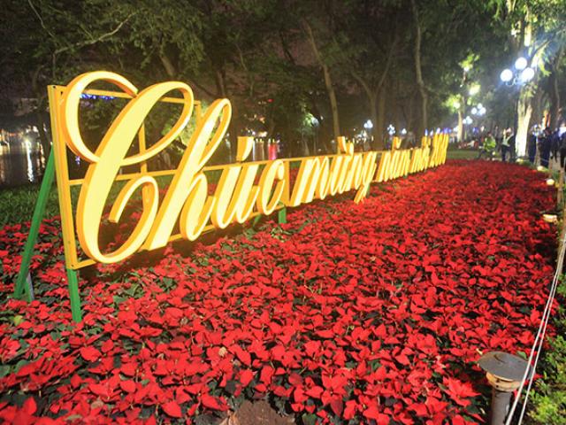 Tin tức trong ngày - Vườn hoa ven Hồ Gươm "sống sót" sau đêm Giao thừa